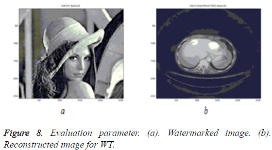 biomedres-Reconstructed-image-WT