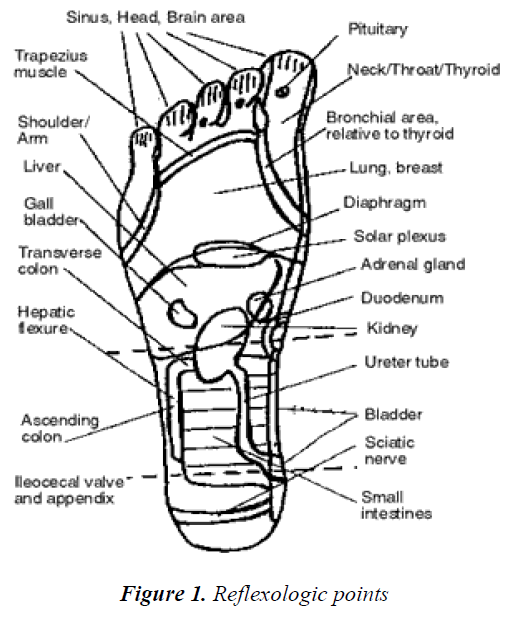 biomedres-Reflexologic-points