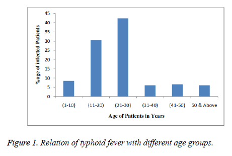 biomedres-Relation-typhoid