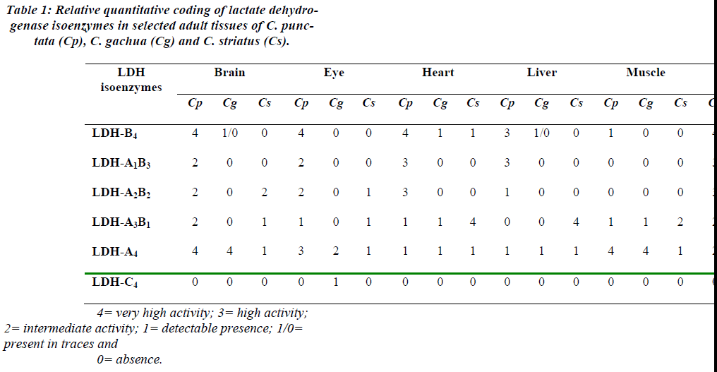 biomedres-Relative-quantitative