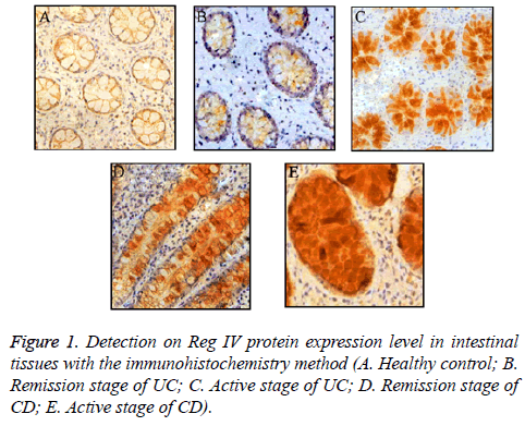 biomedres-Remission-stage