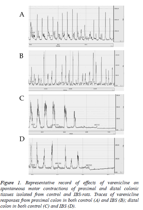 biomedres-Representative-record