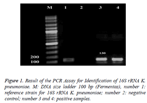 biomedres-Result-PCR