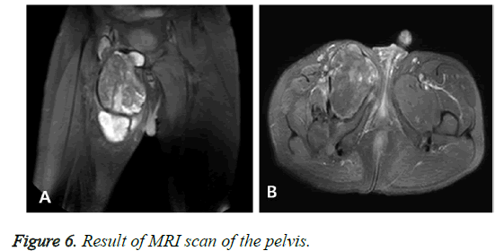 biomedres-Result-scan