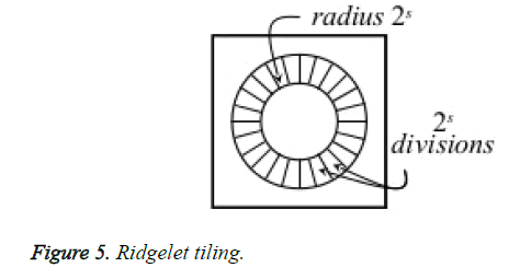 biomedres-Ridgelet-tiling