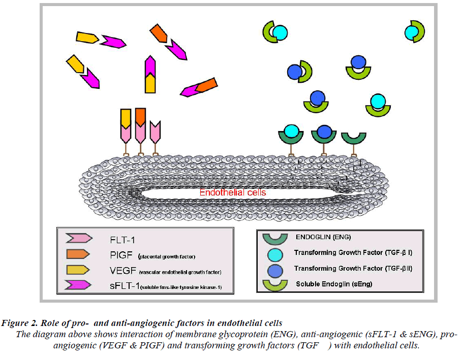 biomedres-Role-anti-angiogenic-factors