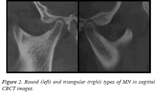 biomedres-Round-sagittal