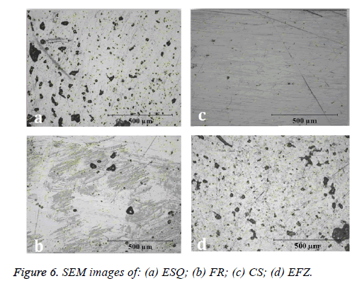 biomedres-SEM-images