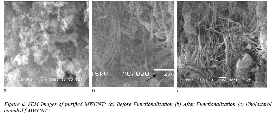 biomedres-SEM-images-purified-MWCNT