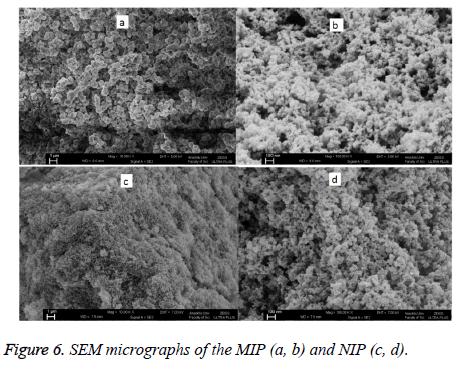 SEM-micrographs-MIP