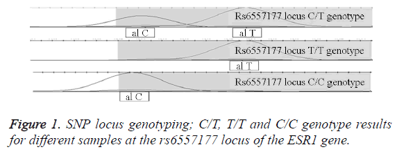 biomedres-SNP-locus-genotyping