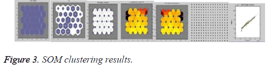 biomedres-SOM-clustering-results