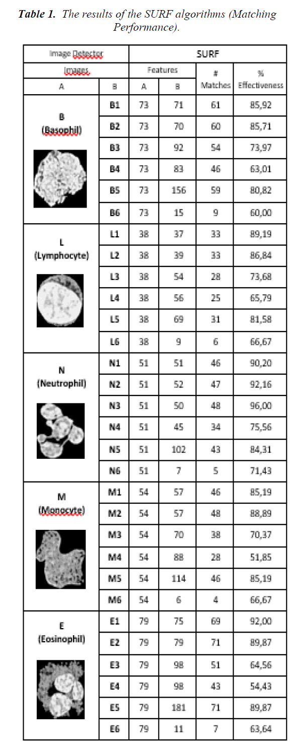 biomedres-SURF-algorithms