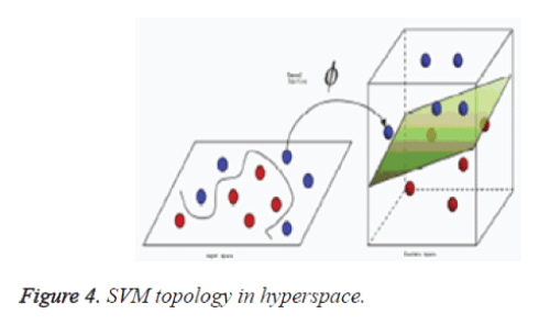 biomedres-SVM-topology