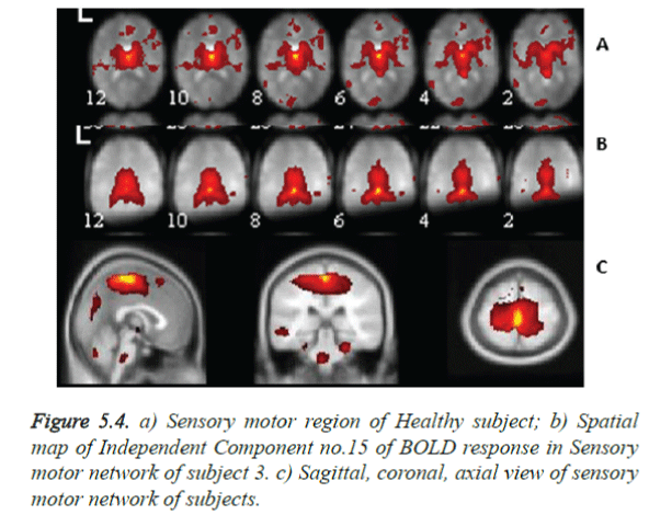 biomedres-Sagittal-coronal-axial-view