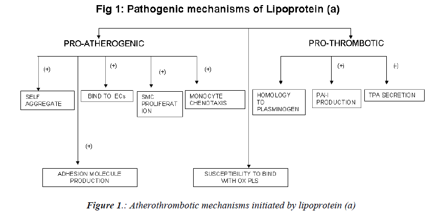 biomedres-Salivary-Cortisol