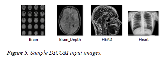 biomedres-Sample-DICOM