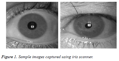 biomedres-Sample-images