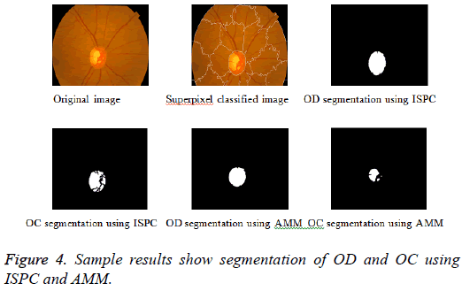 biomedres-Sample-results-segmentation