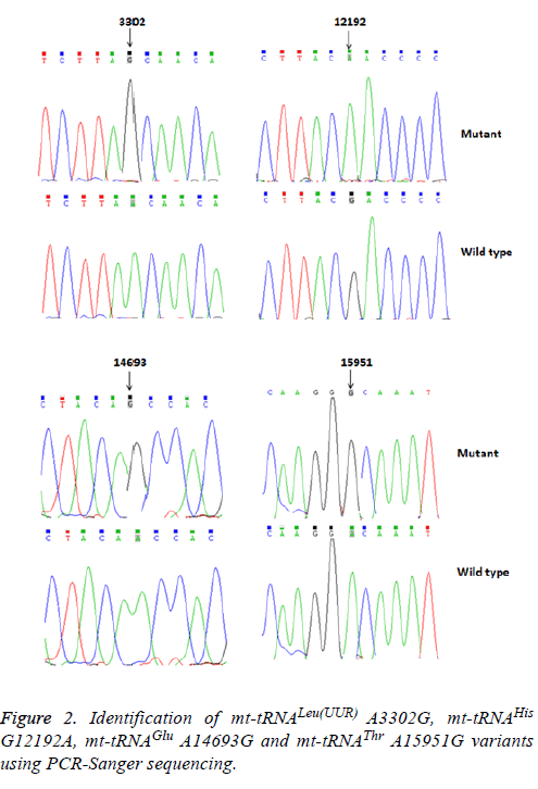 biomedres-Sanger-sequencing