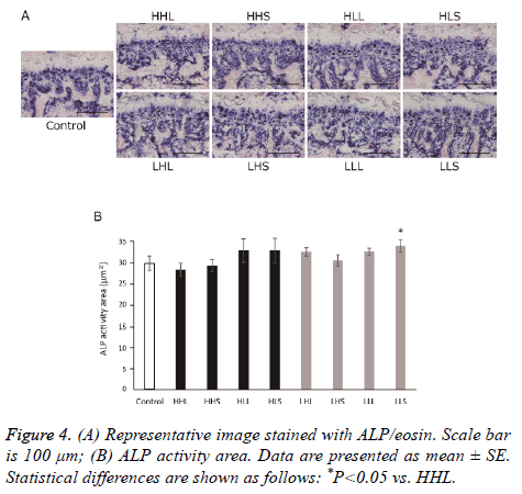 biomedres-Scale-bar