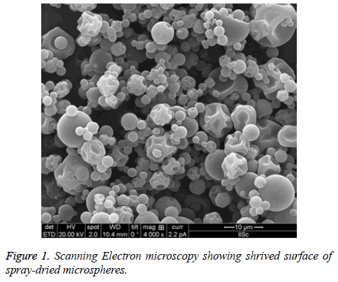 biomedres-Scanning-Electron