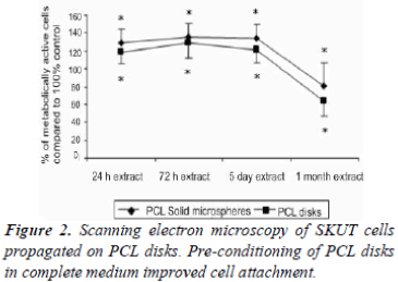 biomedres-Scanning-SKUT-cells-propagated