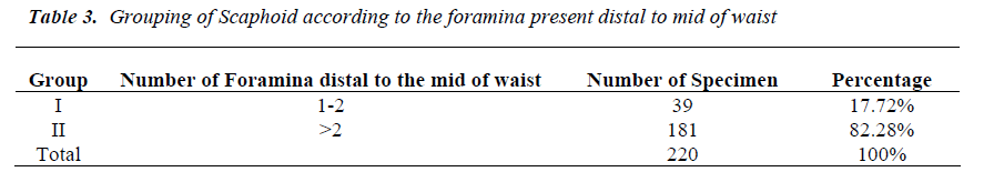 biomedres-Scaphoid-according-foramina-present