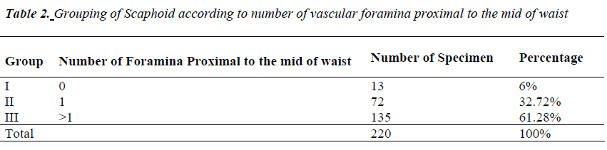 biomedres-Scaphoid-according-number-vascular