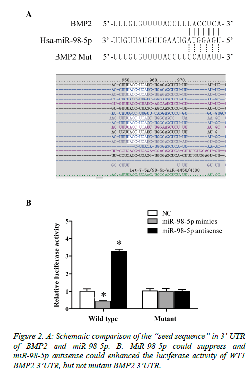 biomedres-Schematic-comparison