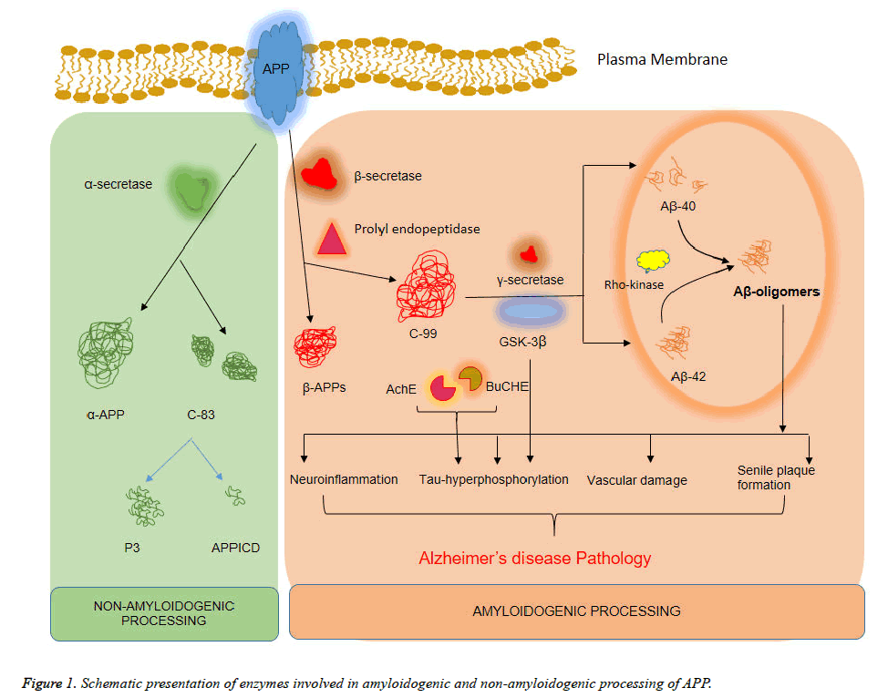 biomedres-Schematic-presentation