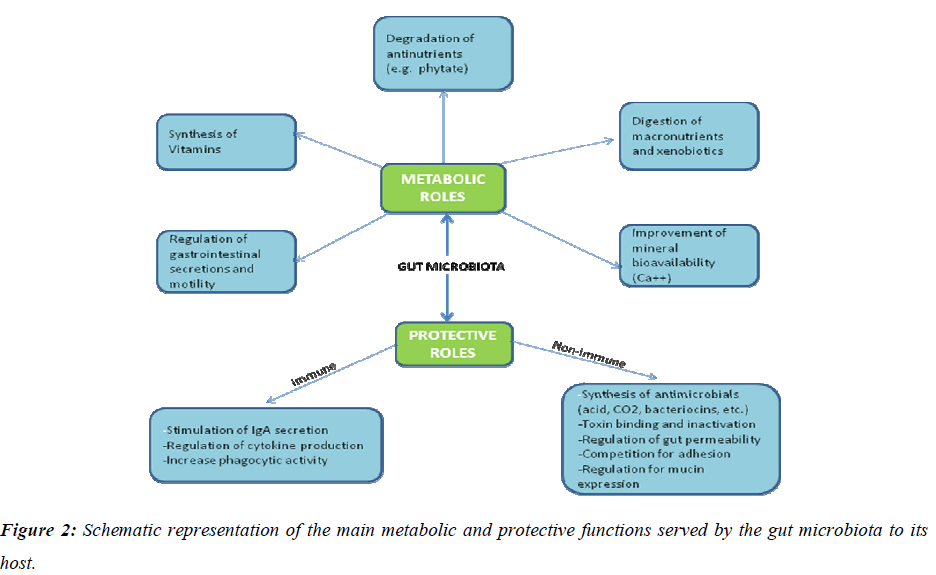 biomedres-Schematic-representation