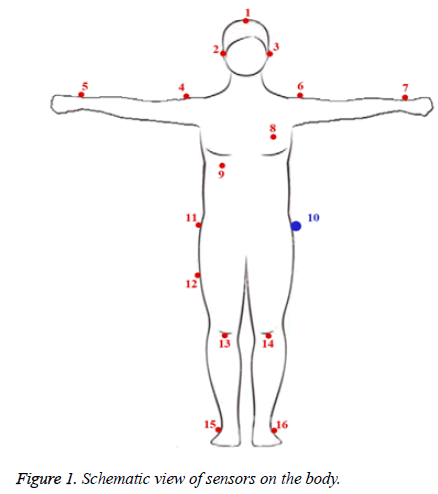 biomedres-Schematic-view