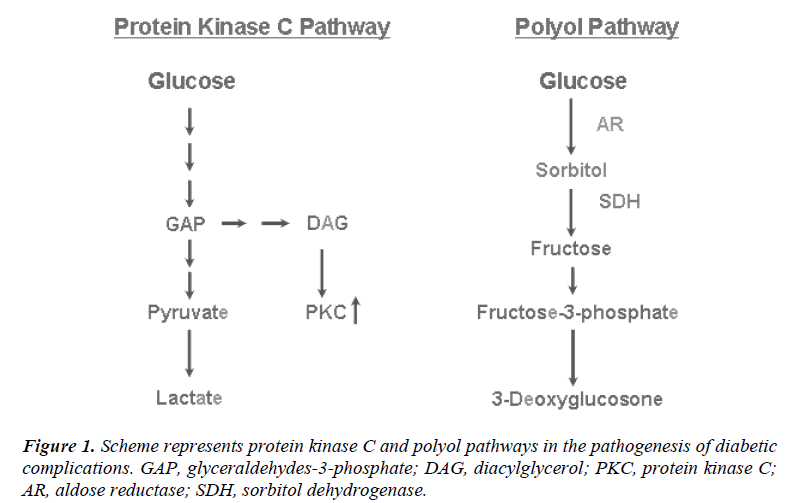 biomedres-Scheme-represents-protein-kinase