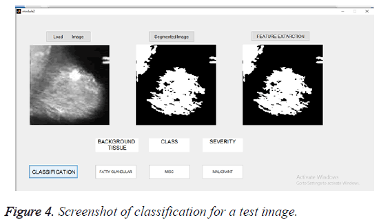 biomedres-Screenshot-classification
