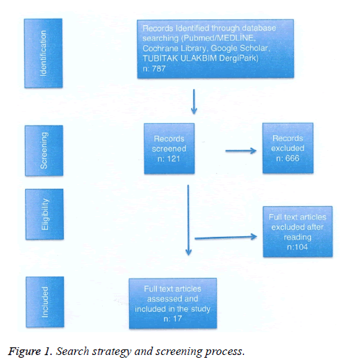 biomedres-Search-strategy