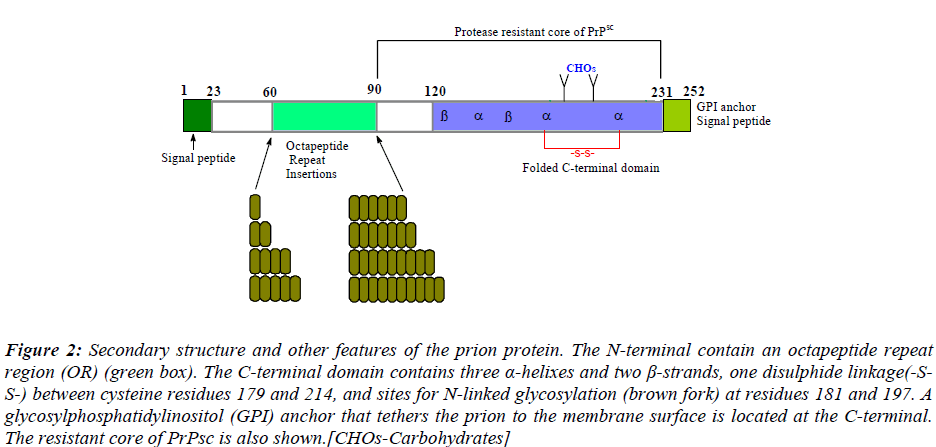 biomedres-Secondary-structure-features