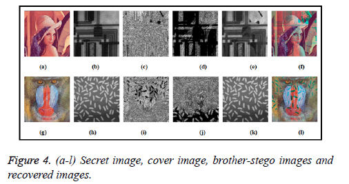 biomedres-Secret-image