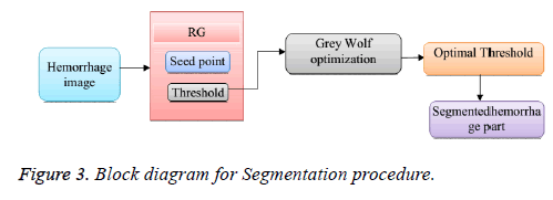 biomedres-Segmentation-procedure