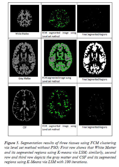 biomedres-Segmentation-results