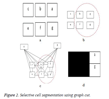 biomedres-Selective-cell