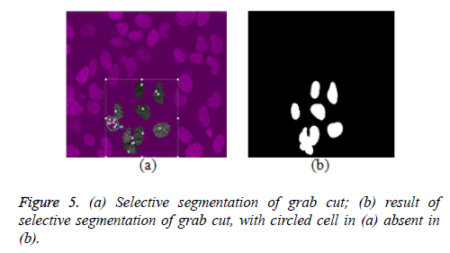 biomedres-Selective-segmentation