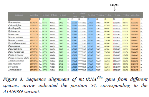 biomedres-Sequence-alignment