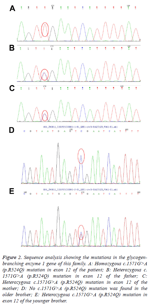 biomedres-Sequence-analysis