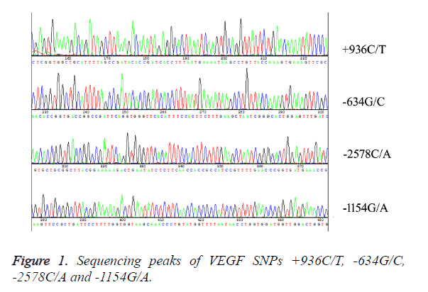 biomedres-Sequencing-peaks