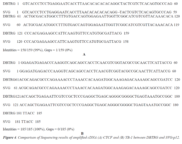 biomedres-Sequencing-results