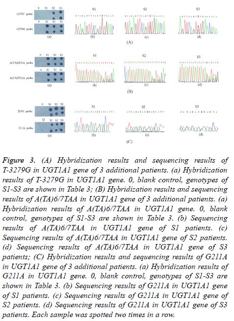 biomedres-Sequencing-results