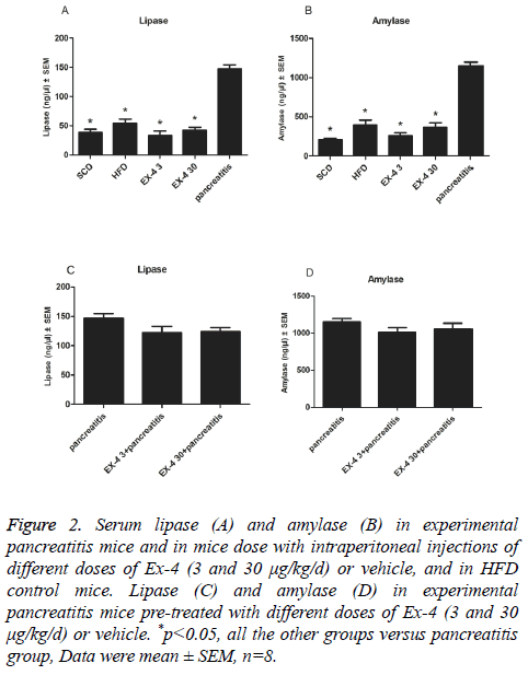 biomedres-Serum-lipase