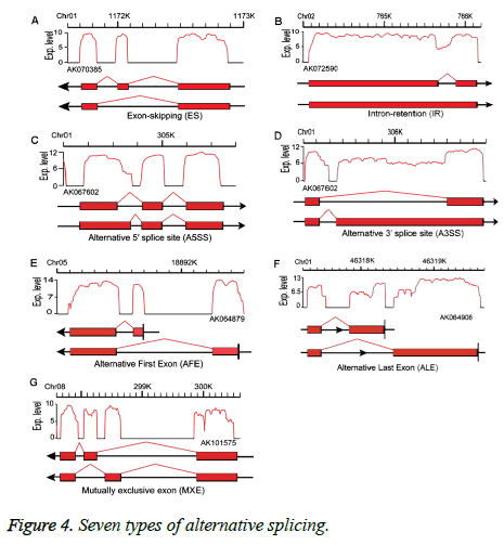 biomedres-Seven-splicing