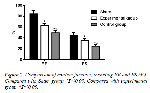 biomedres-Sham-group